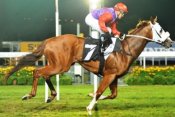 Running Tall<br>Photo by Singapore Turf Club